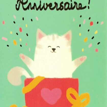 Carte d'anniversaire humoristique de Camille Chaussy représentant un chat dans un cadeau