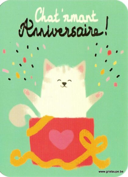 Carte d'anniversaire humoristique de Camille Chaussy représentant un chat dans un cadeau