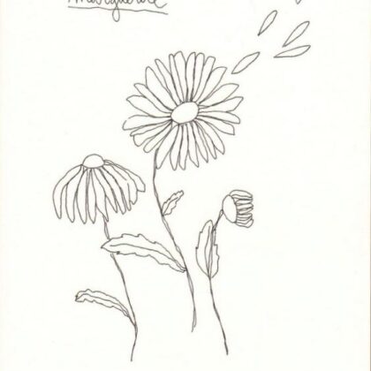carte postale double illustrée par papillonnage et représentant une marguerite