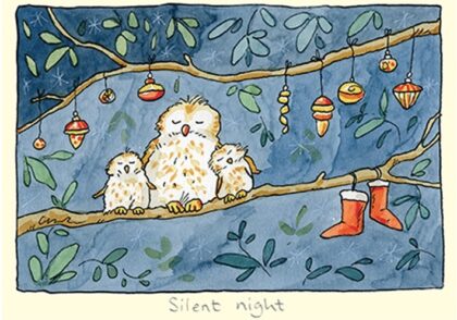 carte postale illustrée par anita jeram et éditée aux éditions two bad mice représentant des chouettes dormant sur une branche de Noel