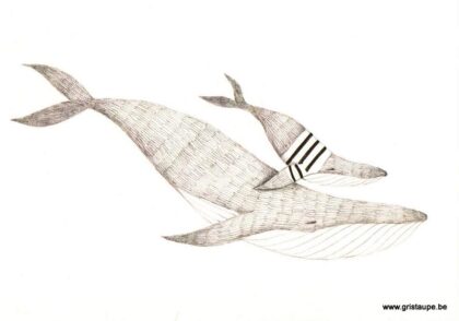 carte postale illustrée par aline tekent et représentant un baleine et son baleineau