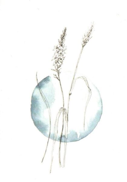 carte postale illustrée par hop sa kee botanique aquarellé