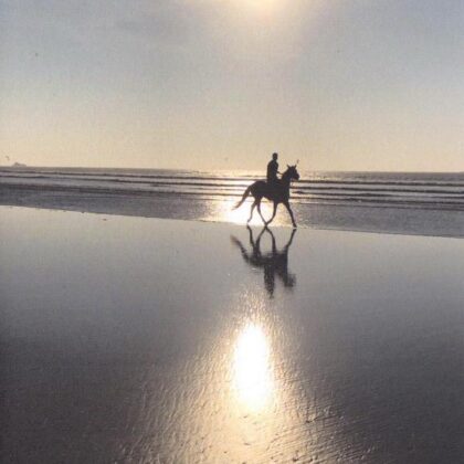 carte postale photo représentant un cheval sur le bord de mer