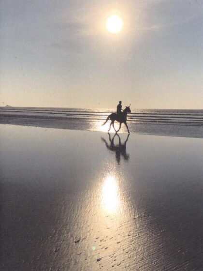 carte postale photo représentant un cheval sur le bord de mer