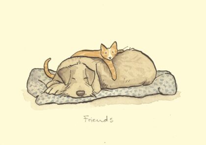 carte postale illustrée par anita jeram et éditée par two bad mice représentant un chat et un chien ensemble