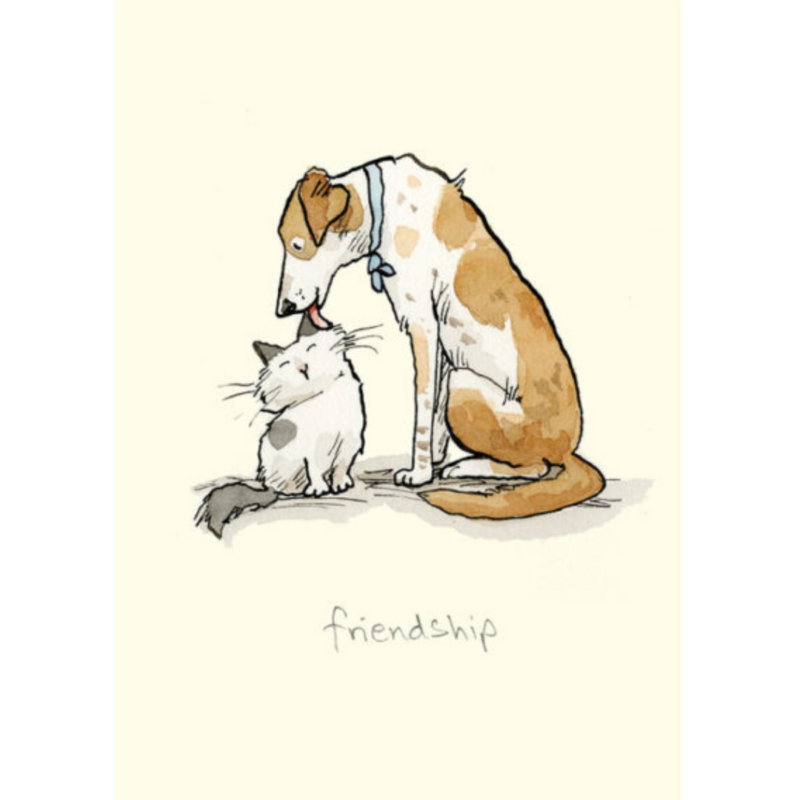 carte postale illustrée par anita jeram représentant un chien et un chat