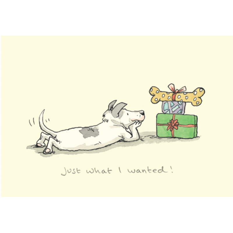 carte postale illustrée par anita jeram représentant un chien devant une pile de cadeau de noël