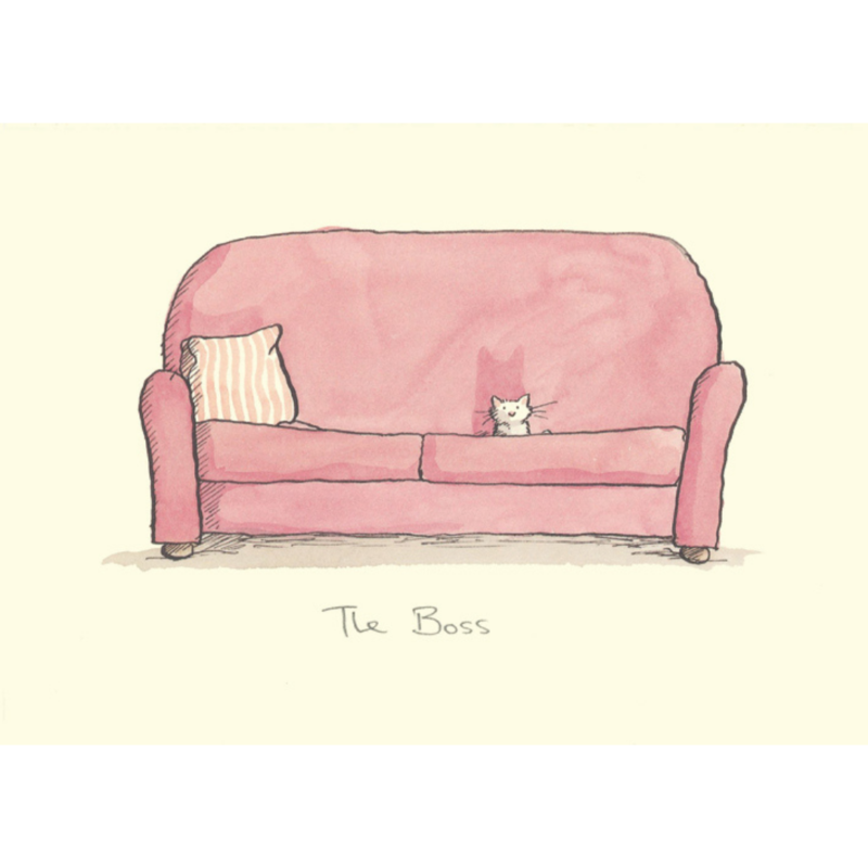 carte postale illustrée par anita jeram représentant un chat sur un canapé
