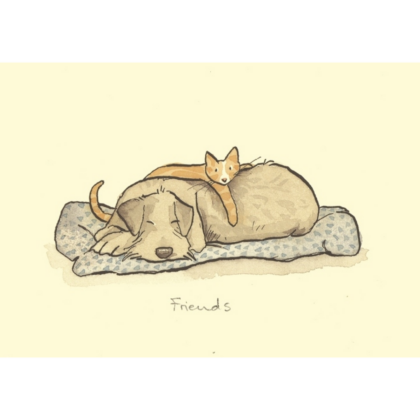 carte postale dessinnée par anita jeram avec un chat qui dort sur un chien