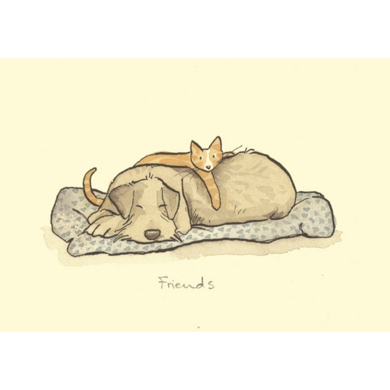 carte postale dessinnée par anita jeram avec un chat qui dort sur un chien