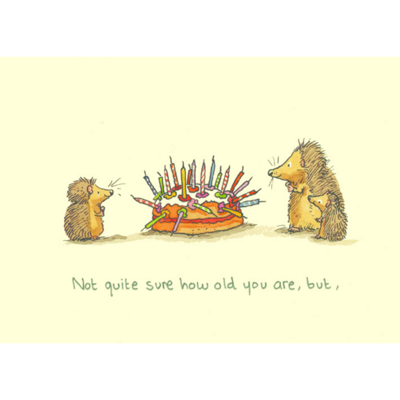 carte postale illustrée par anita jeram représentant deux hérissons devant un gâteau d'anniversaire
